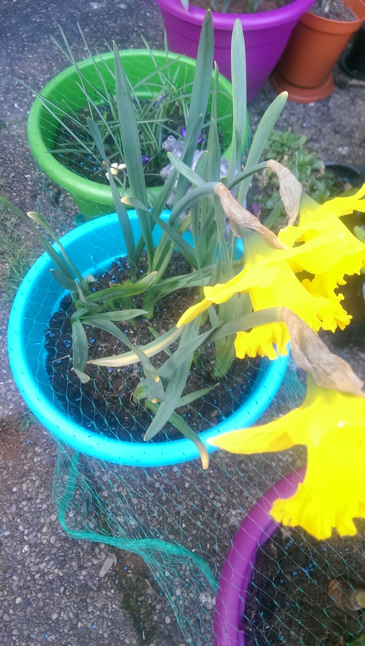 IMAG0483.jpg image