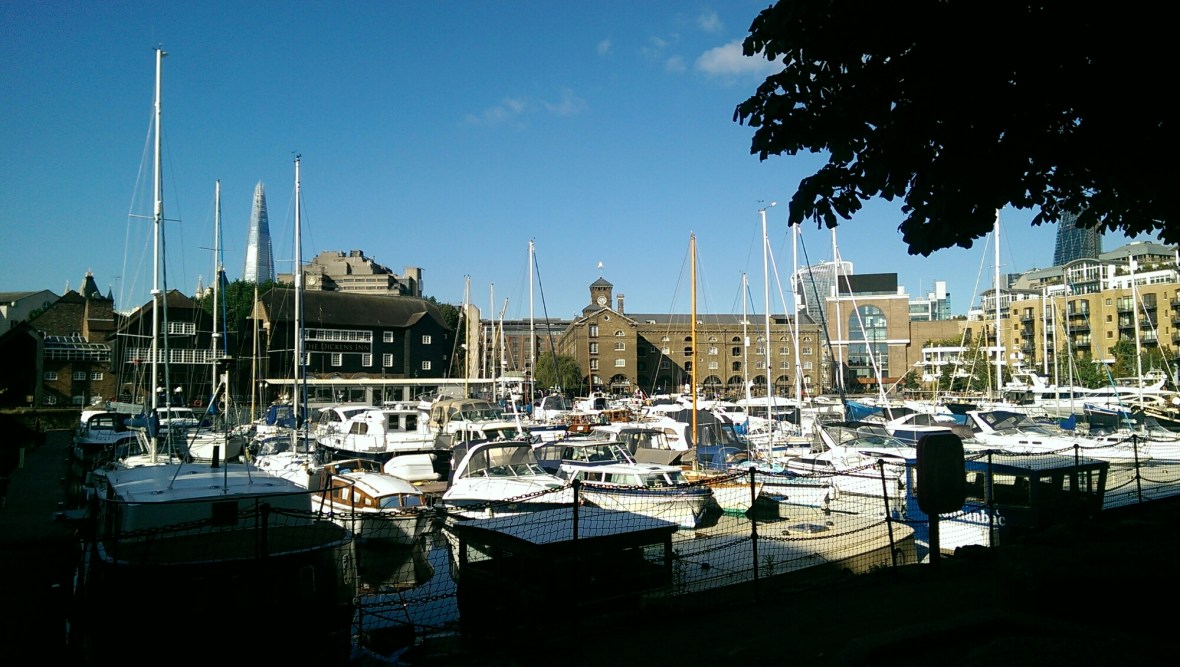 IMAG1171.jpg image