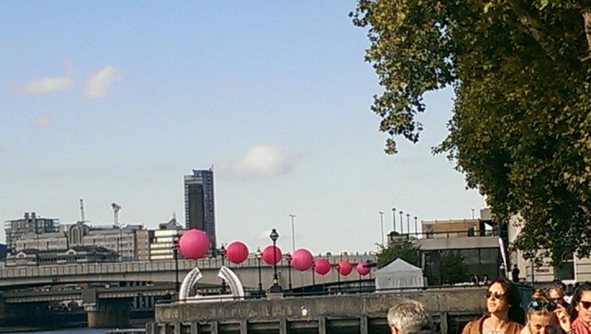 IMAG1178.jpg image
