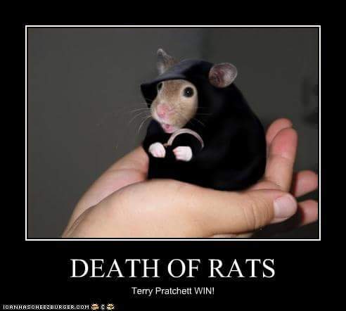 FB_IMG_1445185447045.jpg image